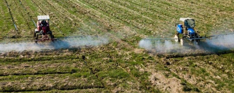 打完除草剂多久才能打治虫药,打完除草剂多久见效