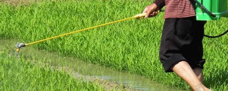 丁草胺旱地的使用方法,丁草胺是什么类型的农药