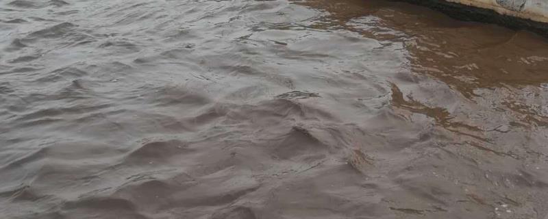 污水处理设备菌种怎么培养,附菌种的保存方法