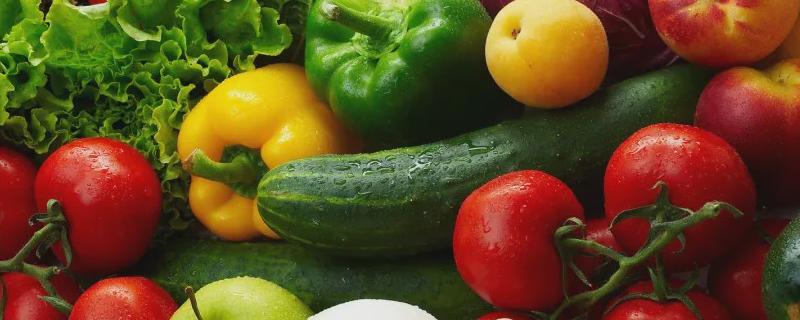 9月份种植什么蔬菜最合适（9月份可以种什么蔬菜最好）