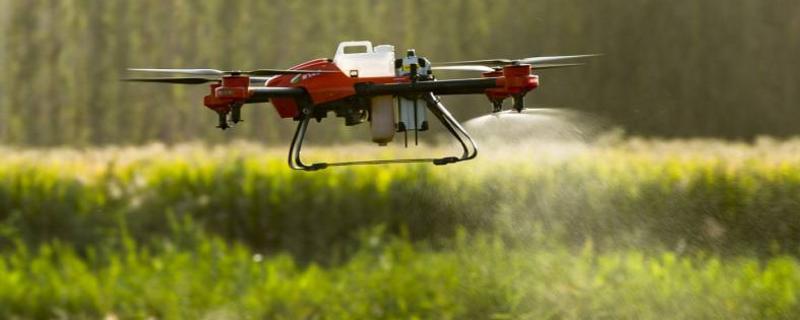 莠去津除草剂的作用，附适用范围（莠去津除什么草）