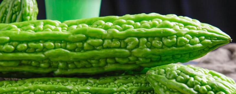 6月份至8月份种什么瓜（七月份种什么瓜）