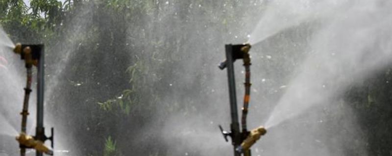 什么除草剂能打死瓜蒌,除草剂的残留期有多长