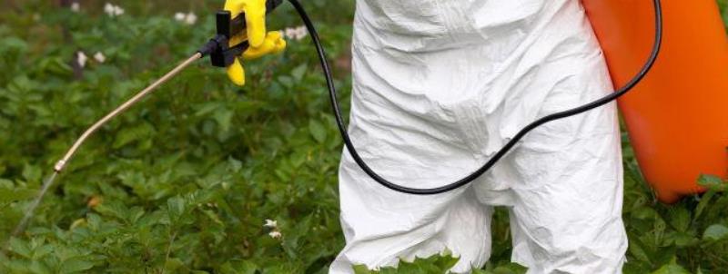 恶霉灵的作用,恶霉灵的使用方法（恶霉灵的作用,恶霉灵的使用方法多肉）