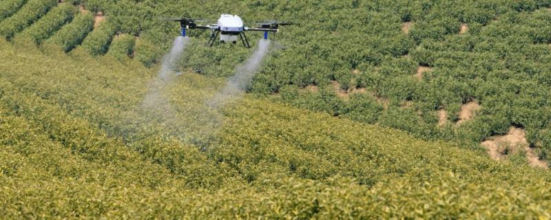 鱼蛋白叶面肥功效，能和农药混用吗 鱼蛋白叶面肥功效,能和农药混用吗有毒吗