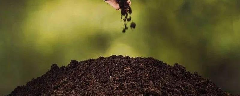 微生物菌肥作用和使用方法,微生物菌肥和有机肥有什么区别