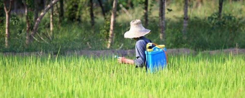 氟氯氰菊酯对人的危害，附使用说明 氟氯氰菊酯的使用方法