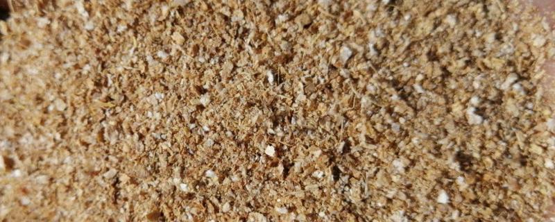 榨油后的花生渣怎么做肥料,花生渣可以做饲料吗