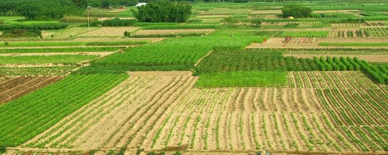 亩产效益什么意思，地亩数怎么算 亩产效益评价标准