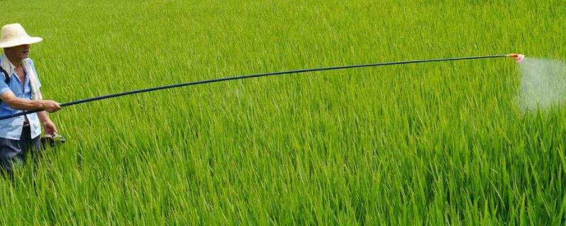 杀虫剂的利与弊 辩论杀虫剂的利与弊