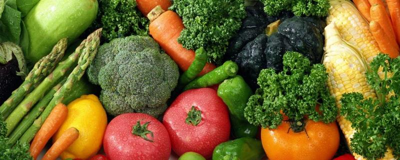 高速绿色通道免费品种，如何申请（高速绿色通道免费怎么办理）