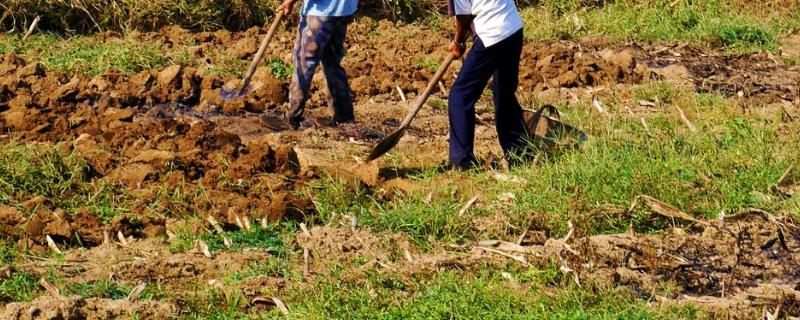 农业生产的重要性,水土流失对农业生产的不利影响