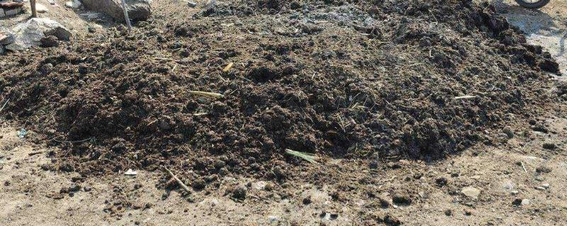 农家肥和有机肥的区别，可以混用吗（农家肥和有机肥的区别,可以混用吗）