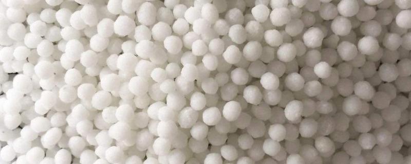 尿素稀释多少倍可以浇根，正在下雨能洒尿素吗