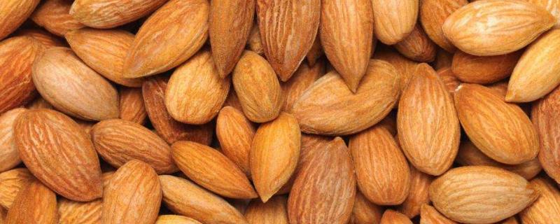 杏仁种子种植要剥壳吗,什么时候播种