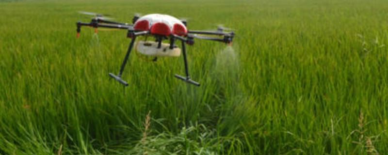 扬彩杀菌剂的功效，附使用注意事项（扬彩杀菌剂什么成分）