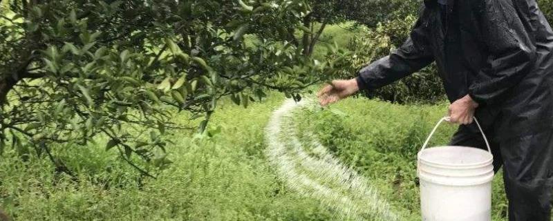 缓释肥是什么肥，用了后还要施肥吗（缓释肥是什么原理）