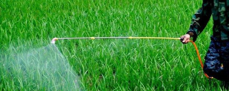 控旺药能和磷酸二氢钾同时使用吗