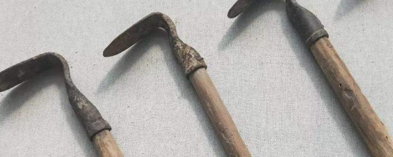 除草的工具,割草时候的气味主要是草里面哪些成分的味道