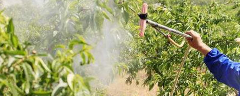 炔螨特的杀螨特点，主要杀什么虫