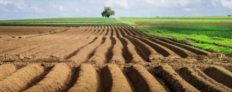 耕地分级,五种耕地类型 耕地类别划分