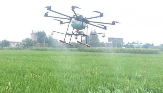 打杀菌药最佳时间,喷多久下雨没有影响