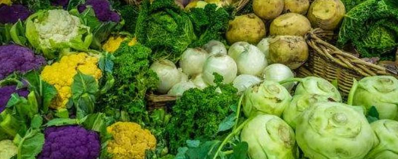 甲基硫菌灵的作用和使用方法，使用禁忌