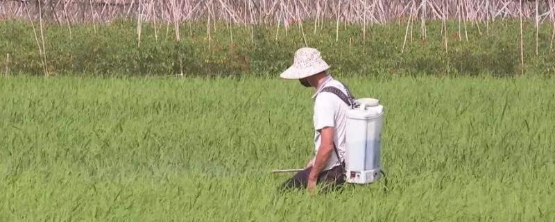 杀虫气雾剂喷不出来,怎么弄才能用，附溴氰菊脂杀虫剂使用说明