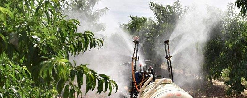 高效氟氯氰菊酯杀什么害虫 高效氯氟氰菊酯主要杀什么虫