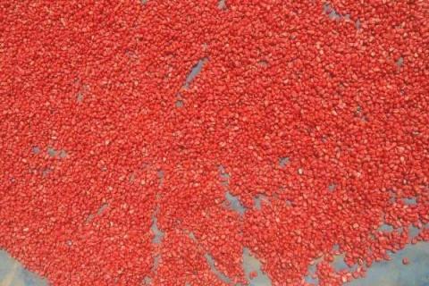 亮盾种衣剂使用方法（亮盾水稻种衣剂）