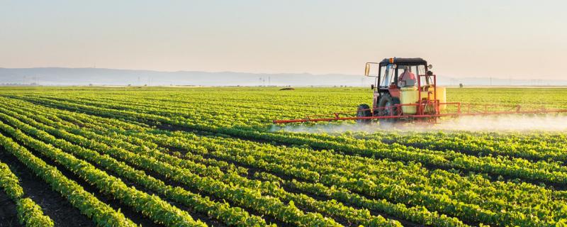 乙烯利在玉米上的使用方法 玉米打乙烯利的作用