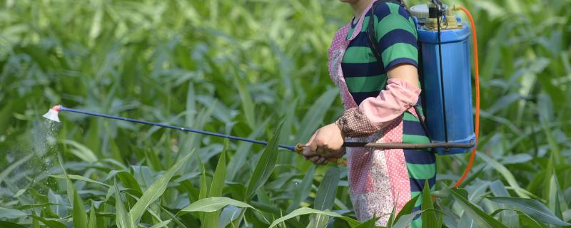 吡嘧苯噻酰使用方法（吡嘧苯噻酰使用说明）