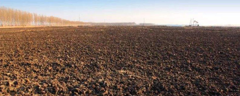 环嗪酮对土地有害吗（用过环嗪酮的土地怎么治理）