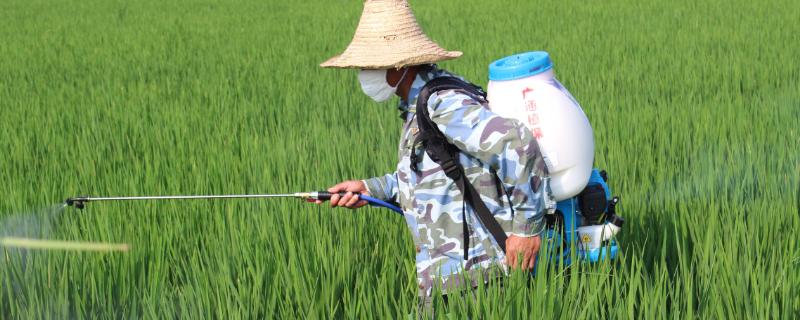 马拉硫磷是限用农药吗 农药马拉硫磷的作用和用量