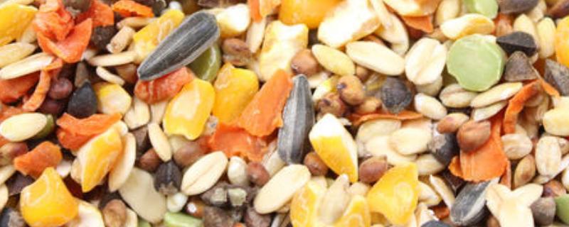 粮虫净正确使用方法 粮虫净正确使用方法视频