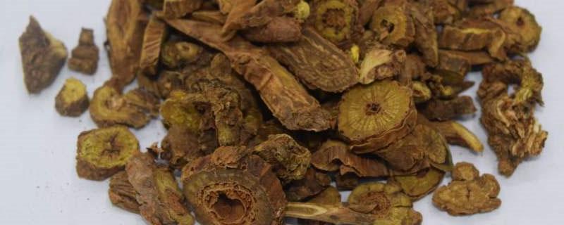 种植一年的黄芩一亩产多少斤（黄芩一亩能产多少斤）