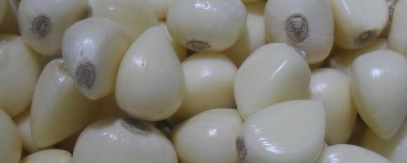 大蒜深加工产品有哪些 大蒜能加工什么产品