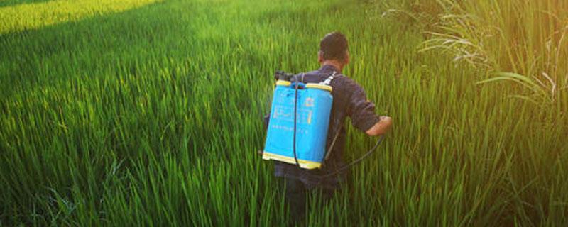 除草剂有哪些 封闭除草剂有哪些