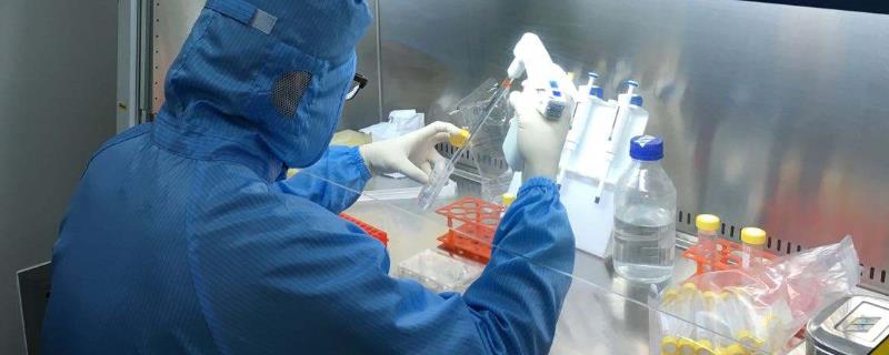 微生物接种技术有哪些（微生物接种技术有哪些方法）