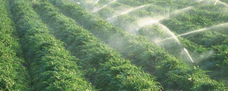 水肥一体化应用的主要技术及方法(水肥一体化应用的主要技术及方法有哪些)