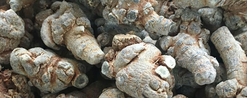 三七哪里卖（三七哪里买）