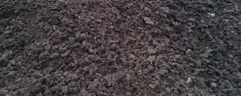 生物肥可以在雨天施吗 为什么雨天不能施肥