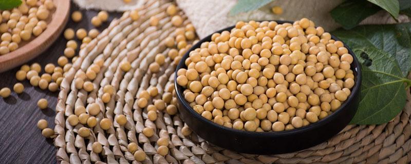 炒熟的黄豆怎么施肥 炒熟的黄豆可以直接施肥