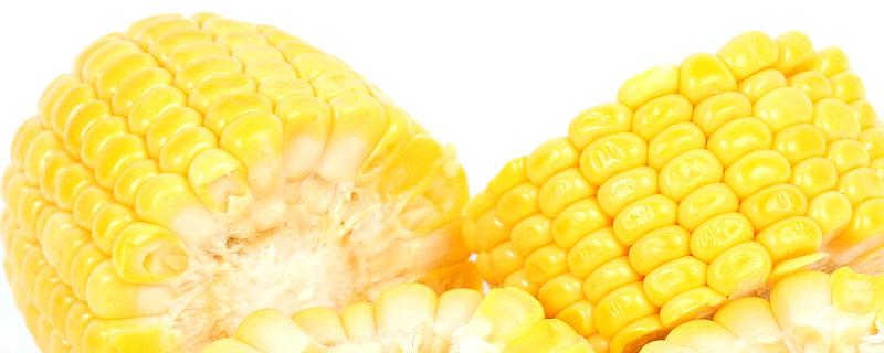 玉米怎么切断才好切 玉米怎么容易切开