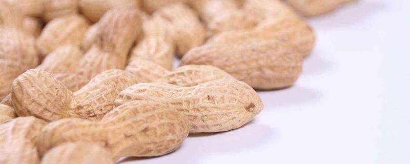 花生重茬用什么农药或肥料（重茬花生施什么底肥好）