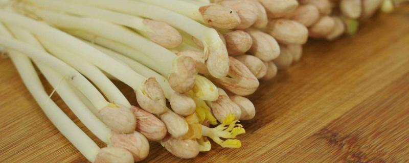 花生苗哪些部分不能吃（花生苗哪里不能吃）