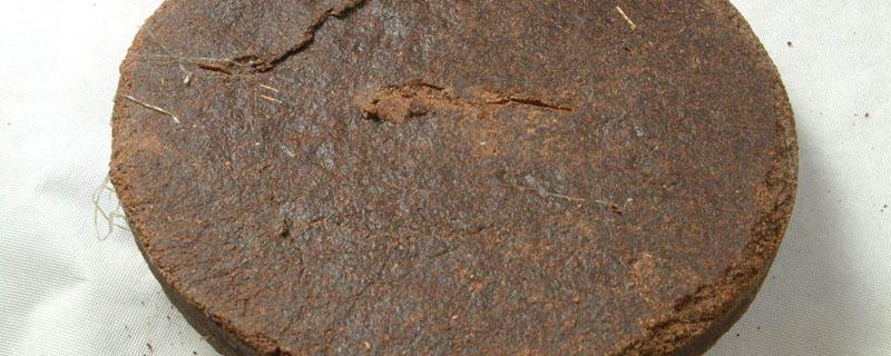 茶麸怎样发酵成肥料（茶麸怎么发酵）