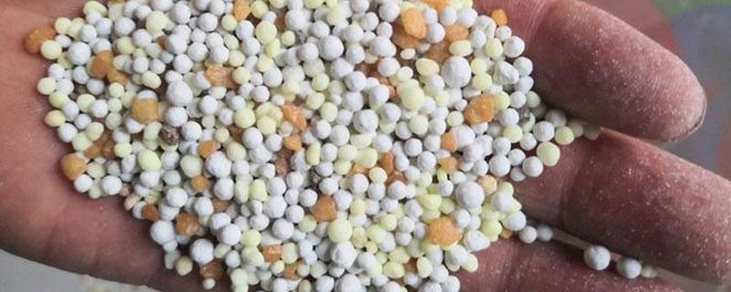 控释肥怎么辨别真假（真假肥料识别方法）