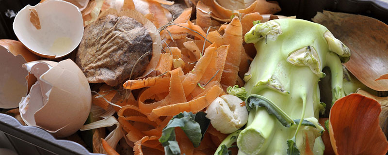 家庭厨余沤肥新方法（家庭厨余堆肥新方法）