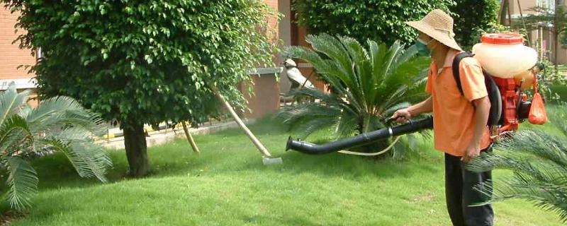 氯氰毒死蜱能杀什么虫 氯氰毒死蜱能杀蚜虫